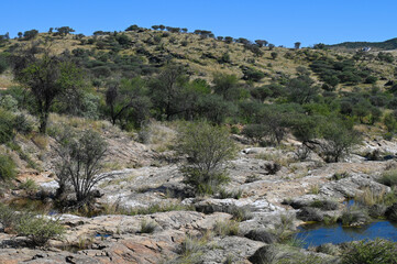 Le parc naturel Avis Dam en Namibie