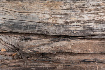 Fototapeta premium Photo of wood texture pattern