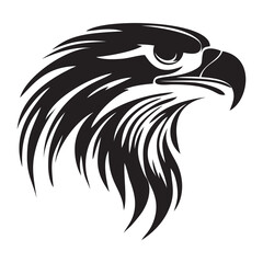 eagle head vector illustration