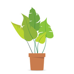 Potted Indoor Plants vectors - Flat Vector plants. A colorful flat vector of potted houseplants. Perfect for eco-friendly designs, botanical themes, or home decor illustrations.