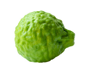 Single fresh green bergamot fruit or kaffir lime isolated in png file format