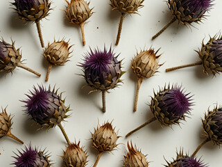 Dried Purple Thistle Flowers Arrangement