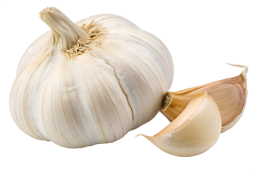 Fresh Garlic Head Clove Isolated Transparent