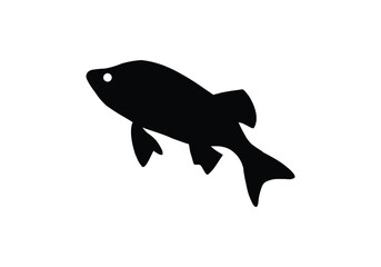 fish vector illustration