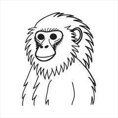 Closeup Portrait of Golden Snub-Nosed Monkey