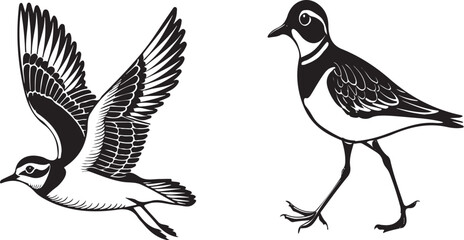 Plover bird silhouette vector design with white background.