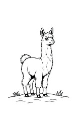 Llama Standing On Grass Ink Drawing