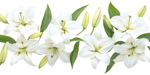 Elegant Lilies: A symmetrical arrangement of pristine white lilies, accentuated by vibrant green foliage, forms a captivating border.
