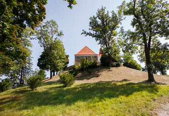 Obraz premium a small castle with a tree on the top of the hill. In Czech Republic