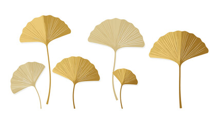 Golden Ginkgo Leaves Illustration_Elegant Botanical Art with Golden Fan Shaped Foliage_Minimalist Design for Wall Decor and Backgrounds_Ginkgo Biloba Aesthetic