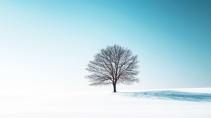 Fototapeta premium Minimalist lone tree in misty field