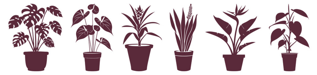 Obraz premium PNG Stylized potted plant illustrations, element set on transparent background