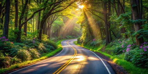 Sunlit Winding Road Through Lush Green Forest with Blooming Flowers