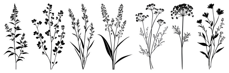 Naklejka premium PNG Vintage botanical plant illustrations, element set on transparent background