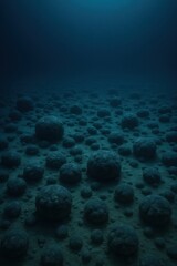Seabed covered with polymetallic nodules under deep water
