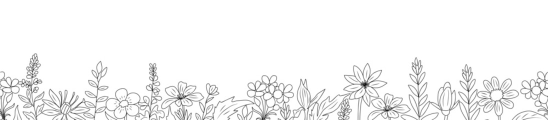 Wild blooming meadow flowers, plants seamless border. Horizontal banner, floral overlay backdrop. Botanical monochrome ink sketch style hand drawn vector illustration isolated on white background.