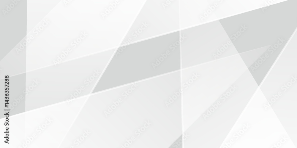 Wall mural abstract white and gray background. smooth abstract background, blurred pattern. light pale vector b