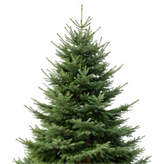 christmas tree isolated on transparent background