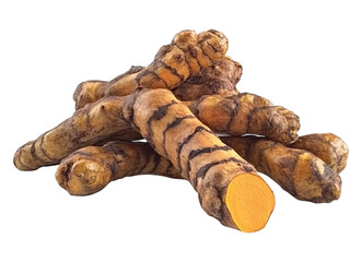 Fresh turmeric roots