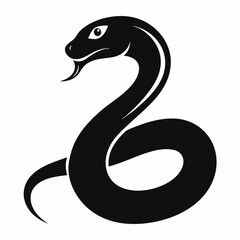 black and white snake