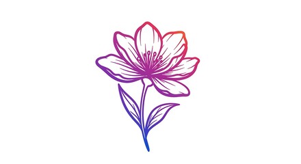 Obraz premium Drawing of Flower with Gradient Coloring on White Background