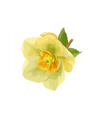 Fototapeta premium A beautiful illustration of a soft yellow flower with green leaves