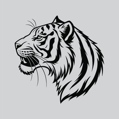 Wild Tiger Illustration Drawing