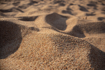 Close-up of sand surface with soft dunes and fine grains under natural sunlight. Abstract background of desert or beach sand texture.

