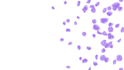 Festive decoration in realistic purple rose petal design for Valentine, wedding and birthday