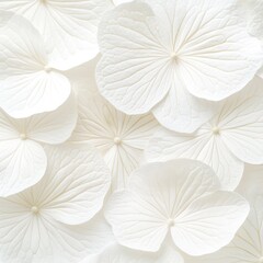 Delicate Hydrangea: A captivating close-up reveals an elegant arrangement of pristine, delicate hydrangea petals, highlighting the intricate patterns and gentle textures.