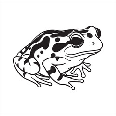 Endangered Harlequin Frog in Rainforest Habitat