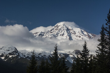 Fototapeta premium Mount Rainier from Rampart Ridge in Spring
