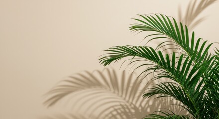 Green palm fronds cast shadows on a neutral beige wall background.