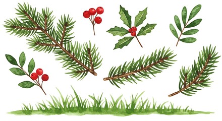 Holly Leaves and Pine Branches Christmas Illustration | Festive Botanical Art
