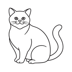 Exotic Shorthair Cat Fluffy Outline