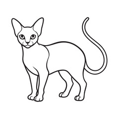 Sphynx Cat Hairless Pet Outline