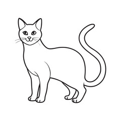 Burmese Cat Lovely Outline Vector