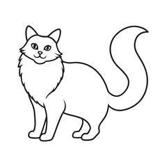 Birman Cat Fluffy Outline Vector