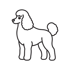 Poodle Fancy Breed Outline Vector