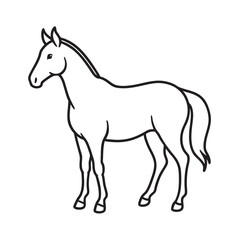 Quarter Horse Noble Outline Vector