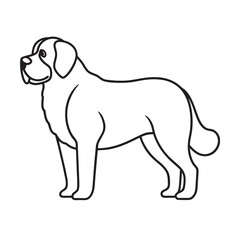 Saint Bernard Gentle Giant Outline Vector