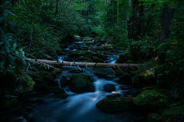 Fallen Tree Hangs Over Jakes Creek In The Moon Light © kellyvandellen