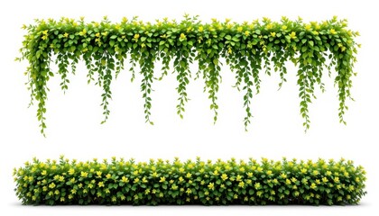 Isolated transparent long hedge, high resolution botanical element, perfect for eco friendly design projects, landscaping visuals