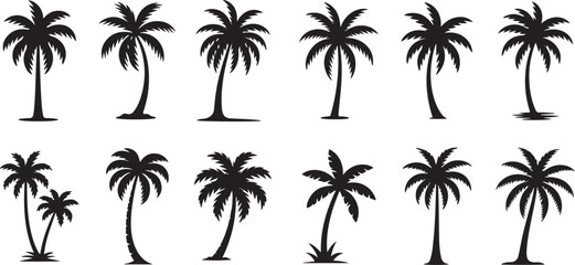 Palm Tree Collection of  Silhouette vector on transparent background.
