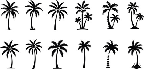 Fototapeta premium Palm Tree Collection of Silhouette vector on transparent background.