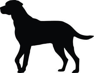 Labrador Dog Standing Side View Silhouette Illustration Vector