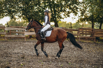 A young beautiful woman jockey is preparing for a show jumping competition. A woman rider rides a brown racehorse.