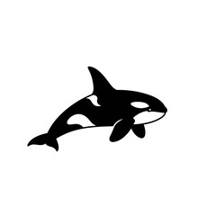 Obraz premium Orca whale silhouette swimming against a white background 