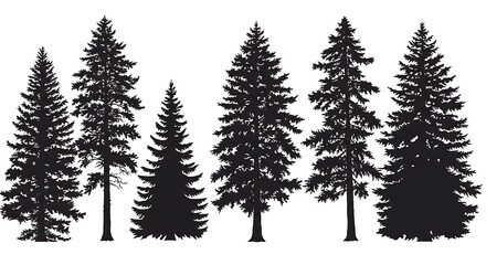 Artistic Silhouette of Tall Trees for Environmental Themes
