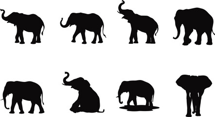 Elephant Silhouette Vector Set Different Pose